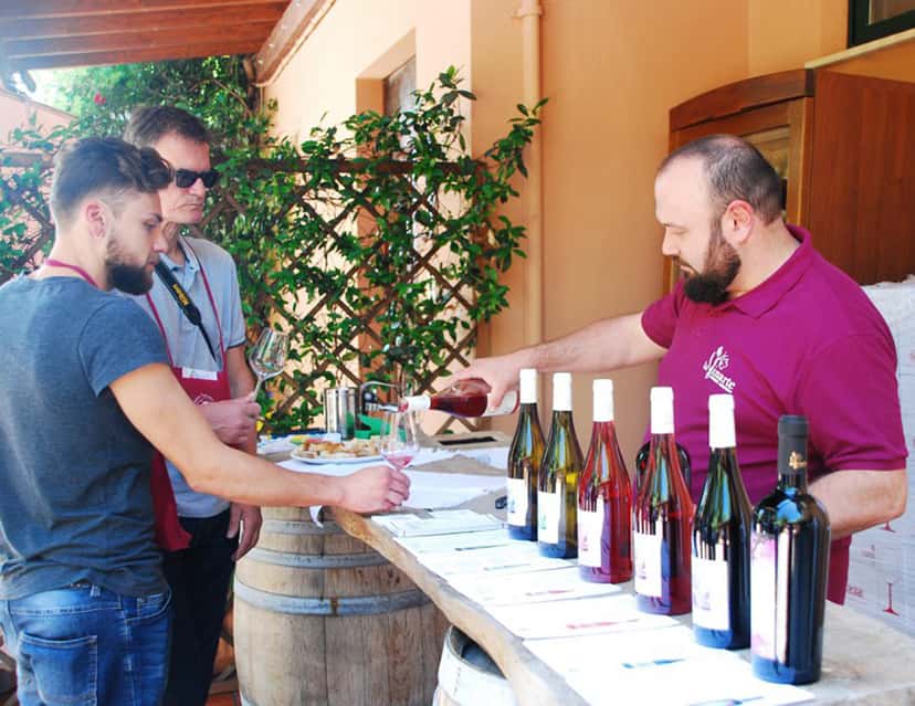 Tour de vinhos na Azienda Agricola La Vinarte