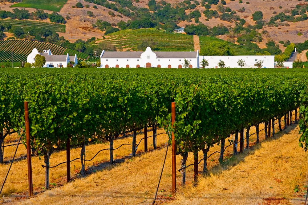 Napa Valley California