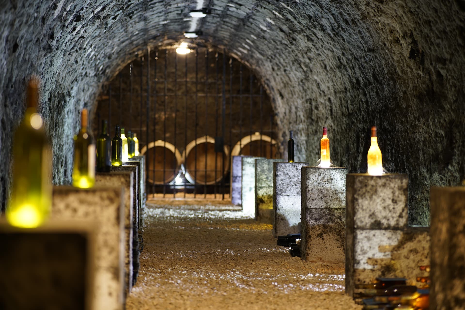 Dégustation de vins et visite du domaine viticole Grof Degenfeld - II. Forfait NOBLE
