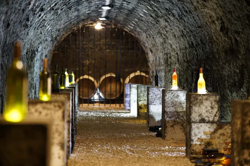 Degustazione di vini e visita alla tenuta vinicola Grof Degenfeld - II. Pacchetto NOBILE