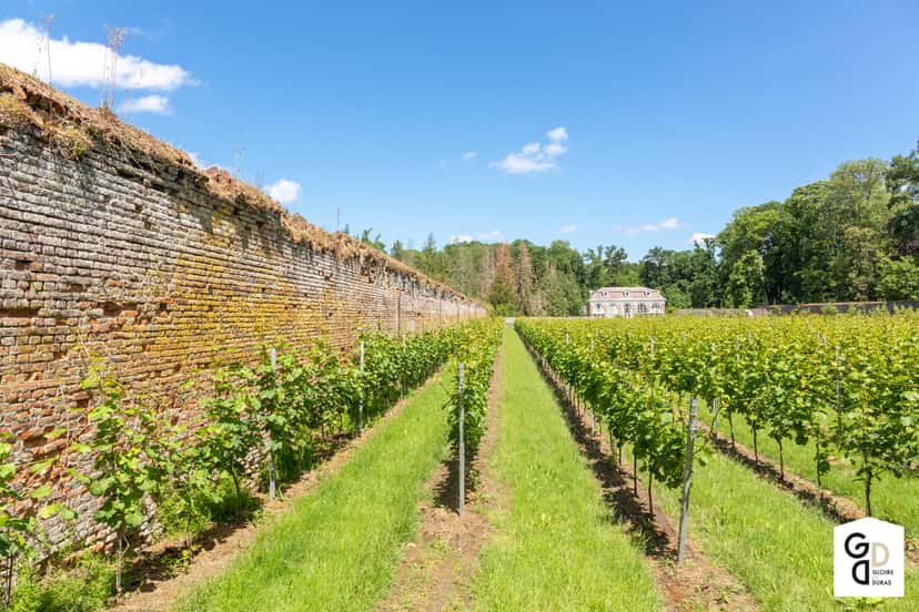 Winery Gloire de Duras
