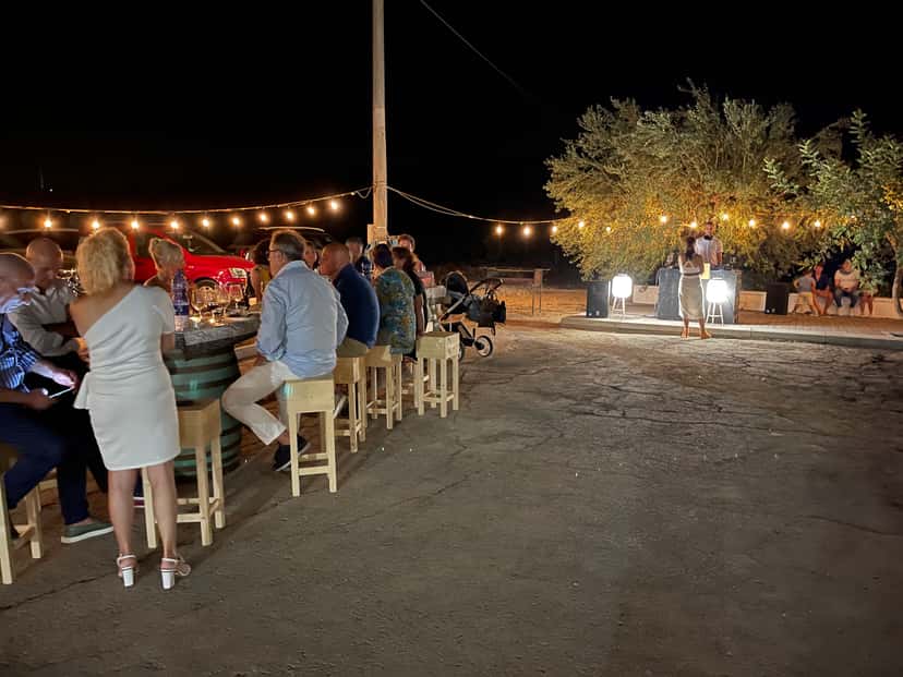 Sicilian Vineyard Picnic & Wine Tasting