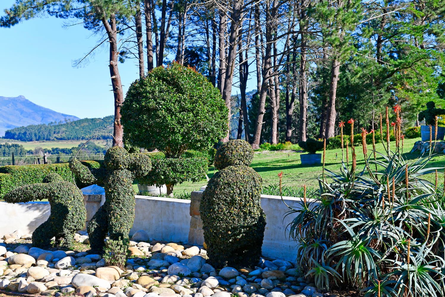 Topiary Wine Estate photo 5