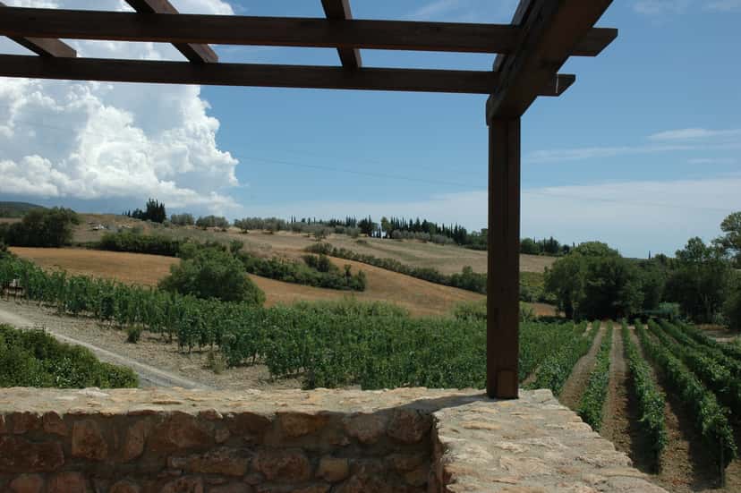 Tuscan Prince Warrior Wine & Cellar Tour