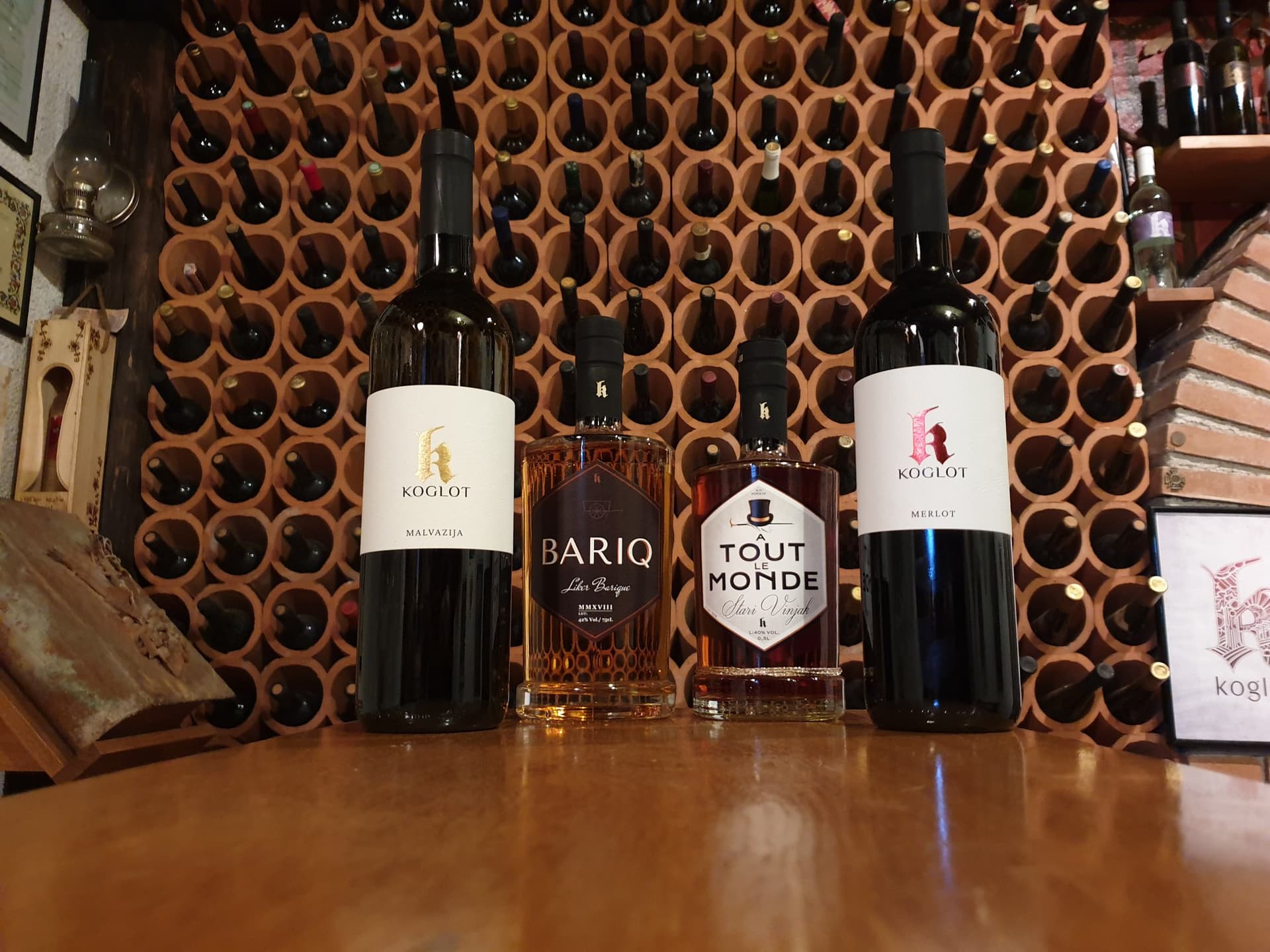 Weinprobe und Tour bei Vina Koglot