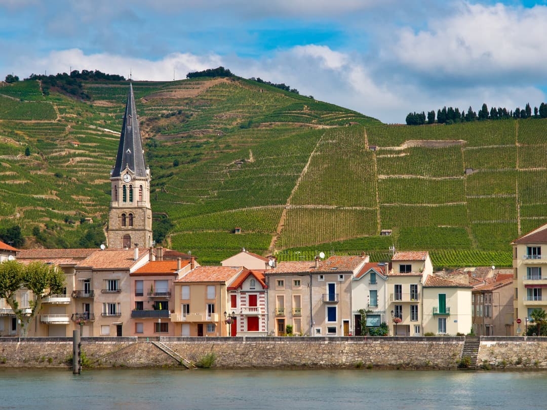 Vineyards In The Cote Du Rhone, Rhone Wine Region, France