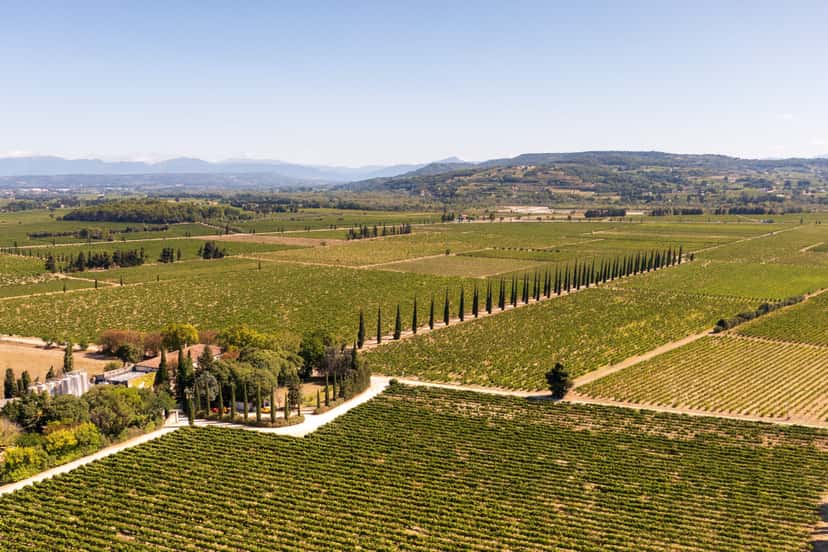 Domaine de la Présidente