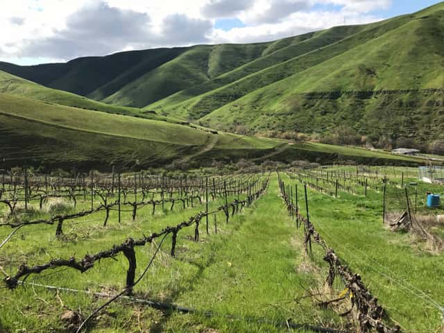 Wawawai Canyon Winery