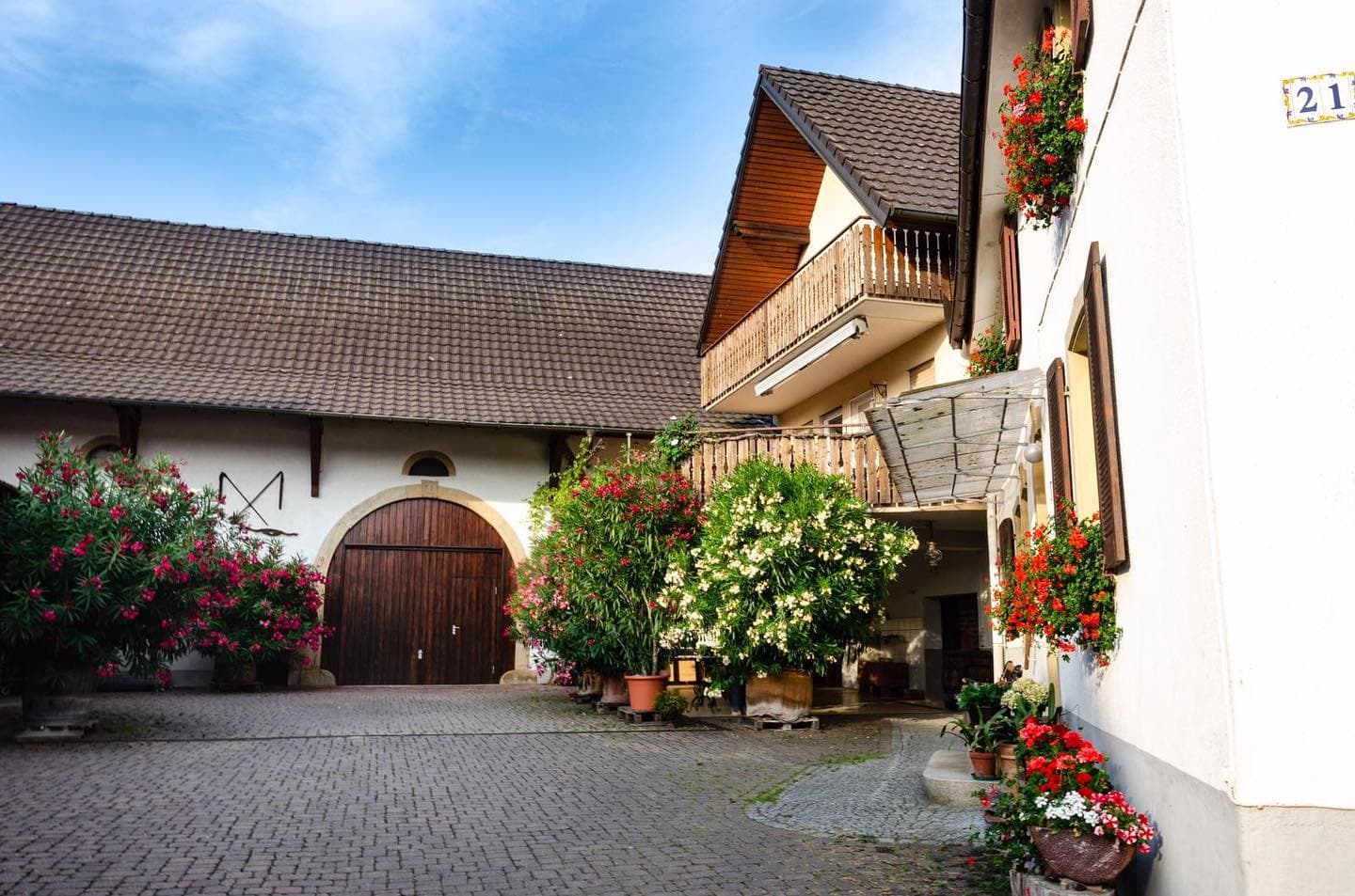 Weingut Sommerhalter Foto 2