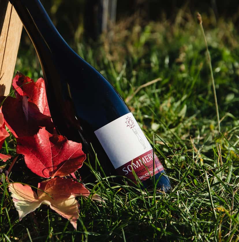 Weinprobe im Weingut Sommerhalter