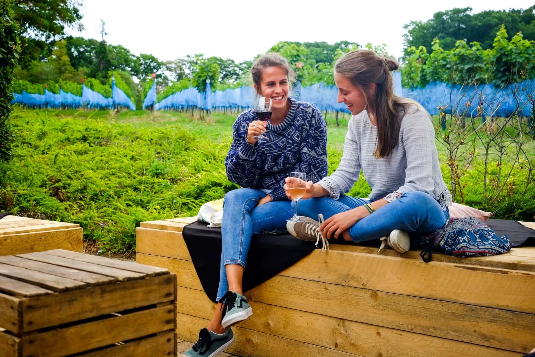 Degustação de vinhos e tour em Wijnkasteel Haksberg