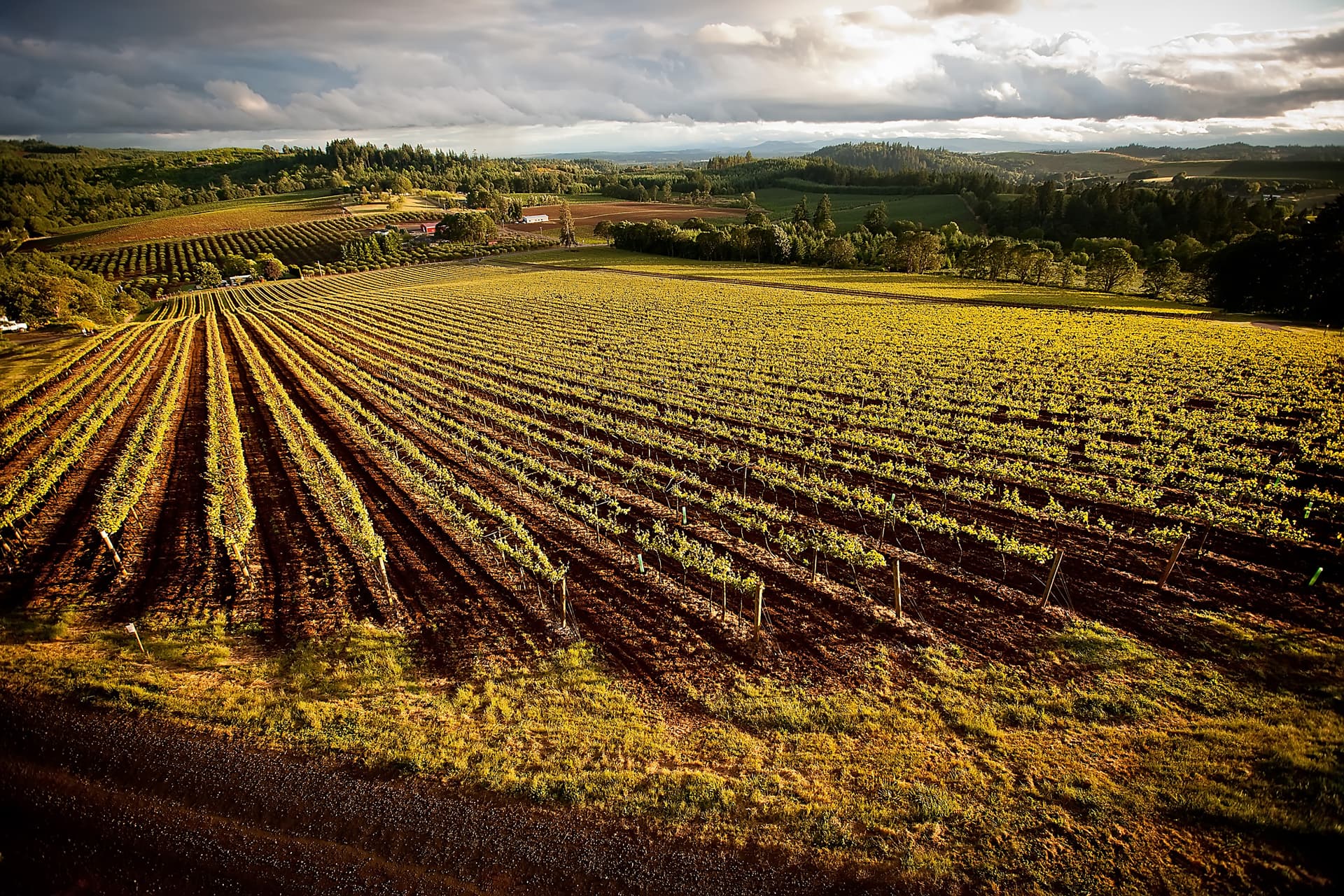 Willamette Valley Vineyards