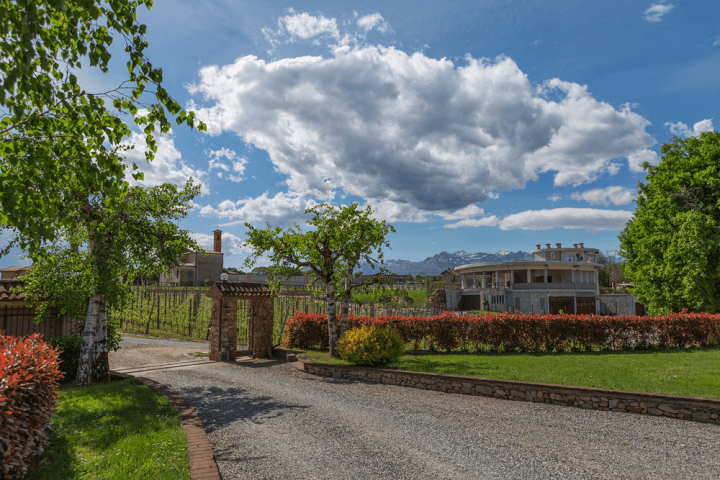 Azienda Vitivinicola Pietro Cassina Foto 4
