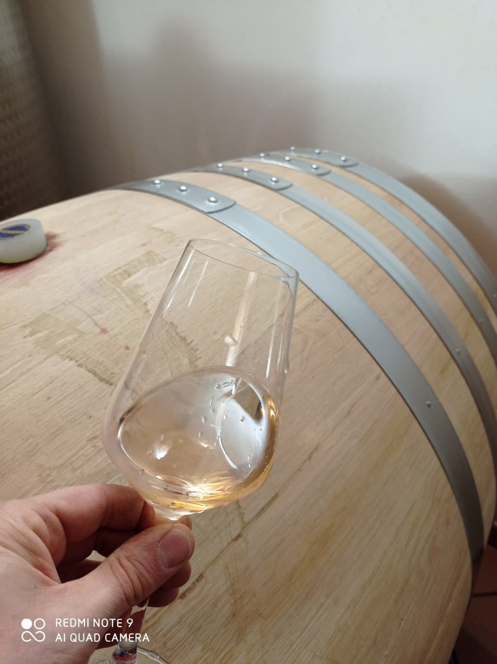 Adriano Grasso Natural Wines foto 5