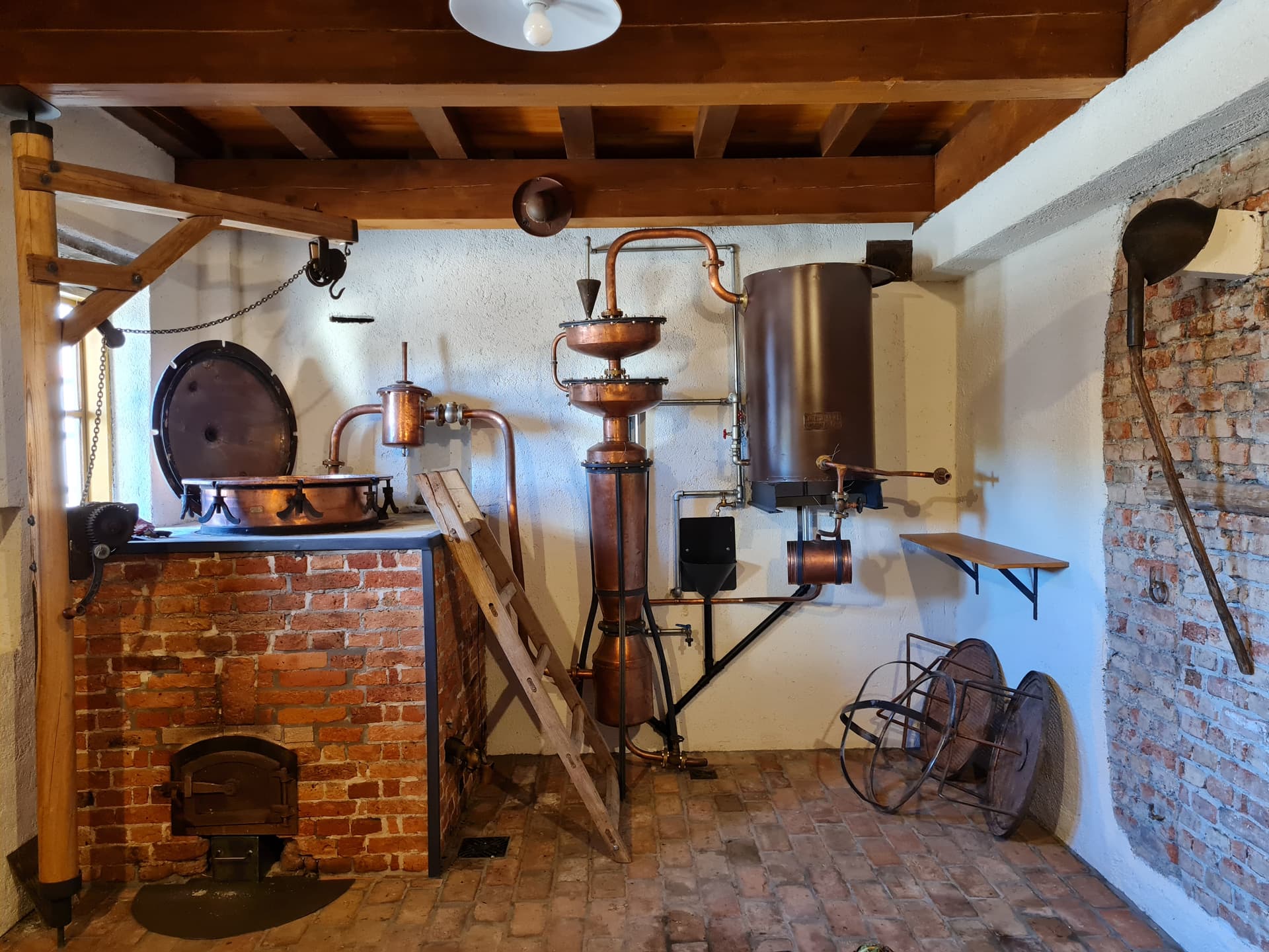 Wine Koglot