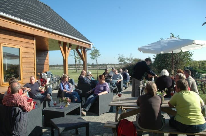 Weinprobe und Tour im Betuws Wijndomein
