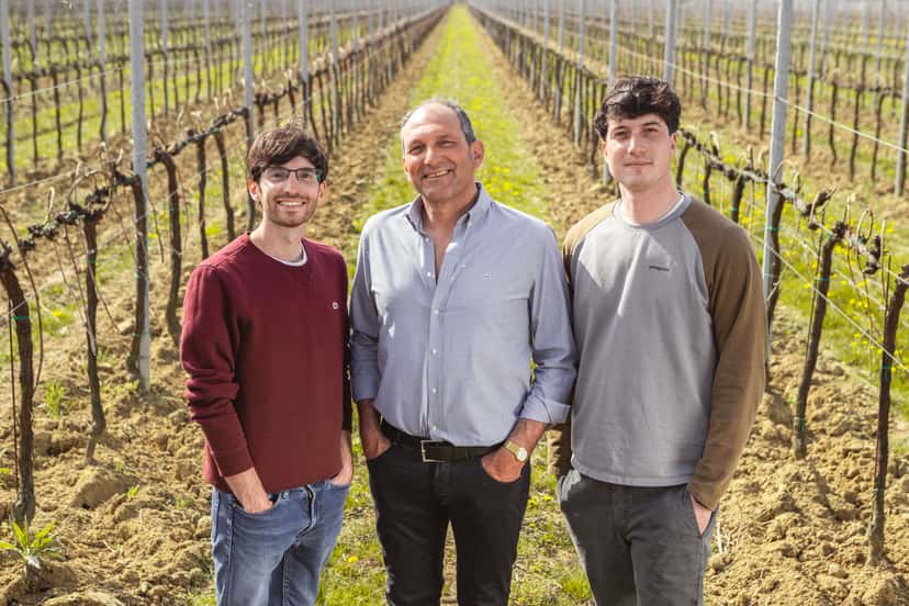 Degustação de vinhos e tour na Casa Piazza