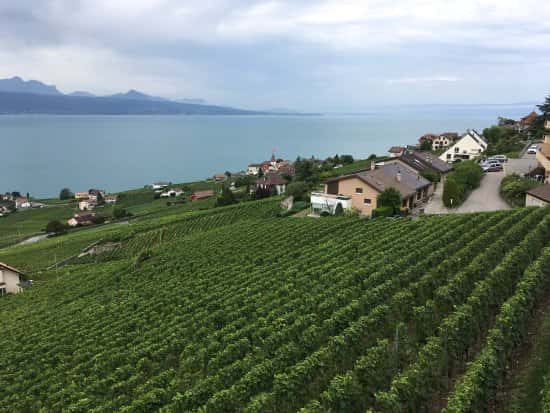 Domaine Croix Duplex