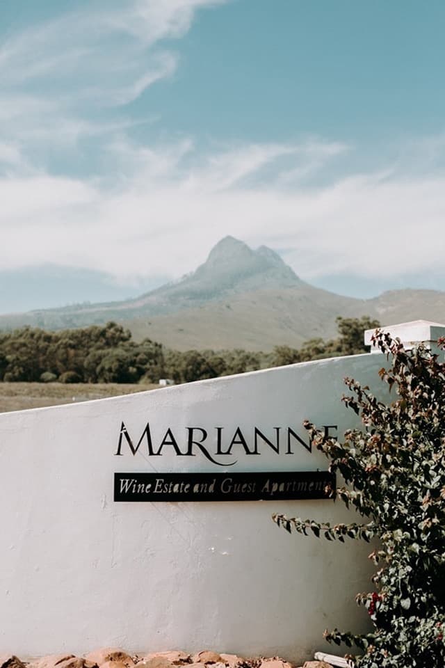 Marianne Wine Estate foto 2