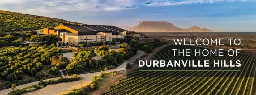 Durbanville Hills Winery