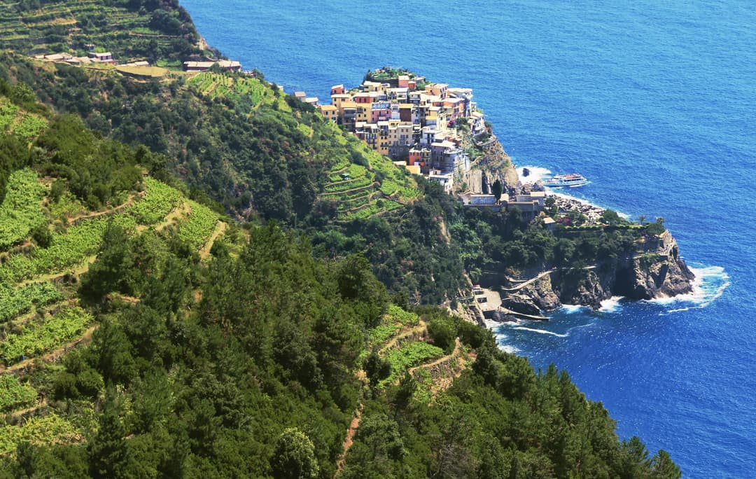 Vigneti nelle Cinque Terre, regione vinicola della Liguria