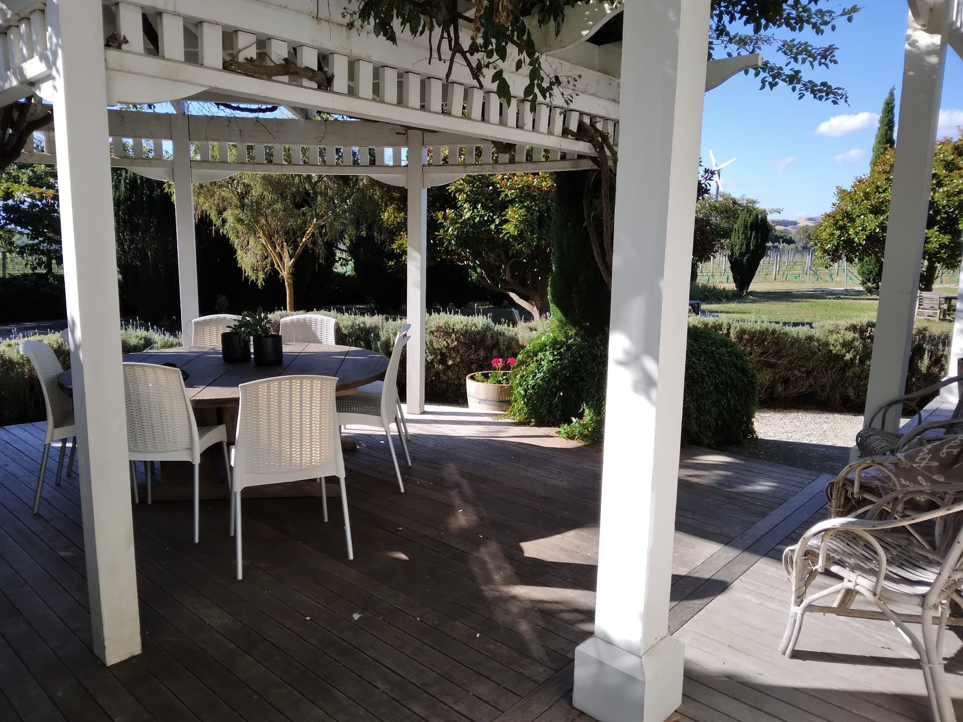 Vynfields Wine and Homestays foto 4