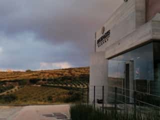 Wine Tasting Experience at Digenakis Winery