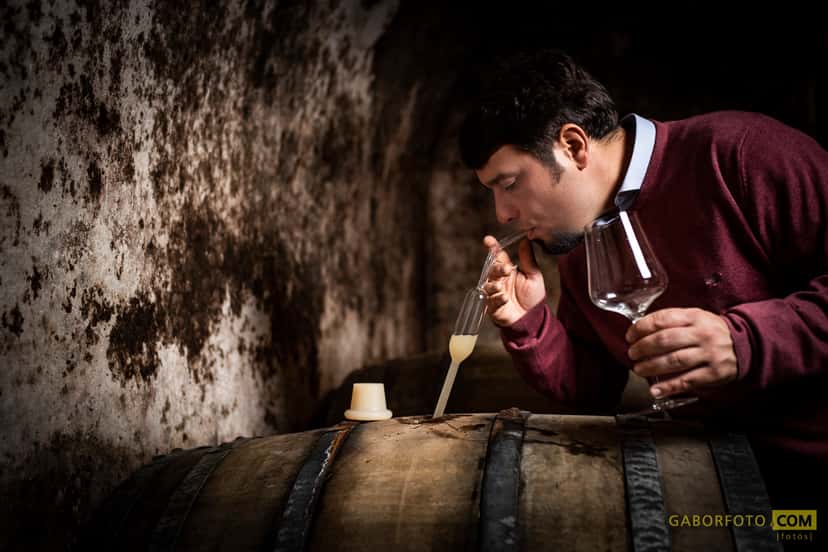 Cata de vinos en la Bodega Barcza
