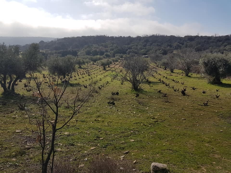 Bodega Ecologica Luis Saavedra