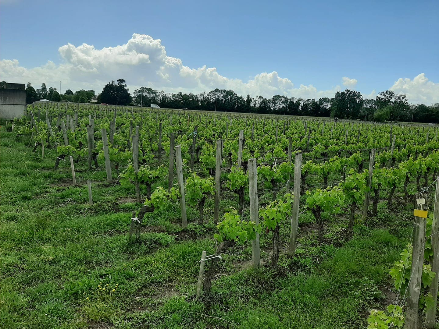 Château La Croix Taillefer