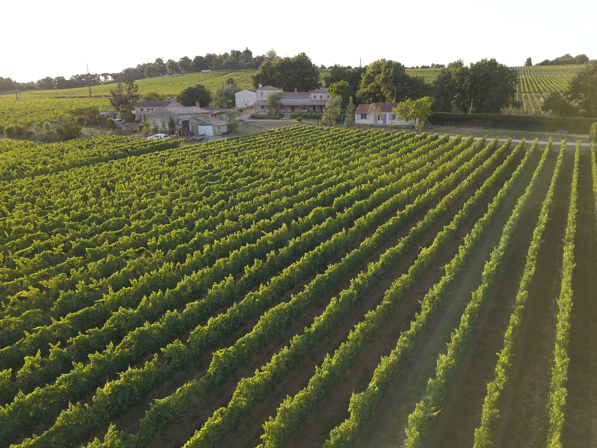 Château Maine Gazin Foto 3