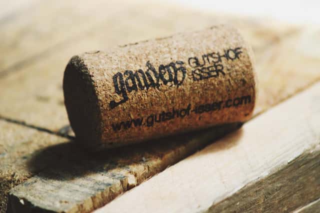 Gaudenz Gutshof Isser