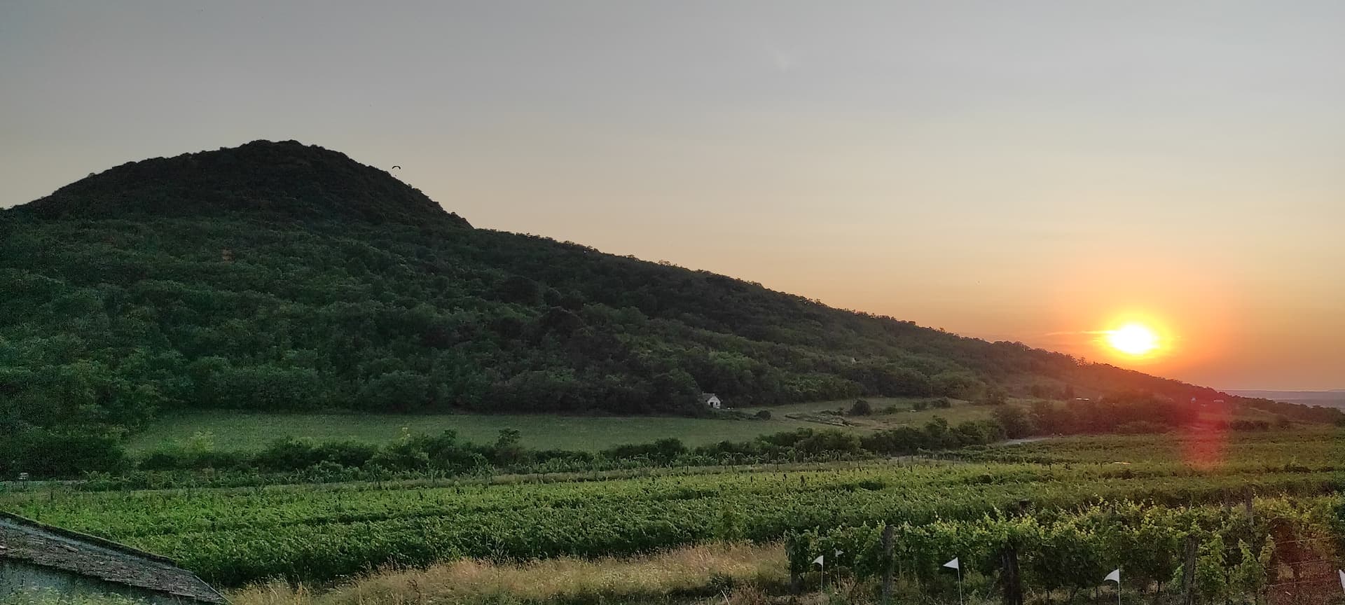 Trio Winery