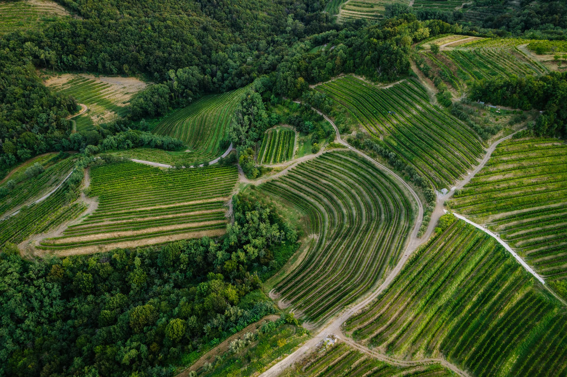 Cata de vinos y visita a la bodega Stekar
