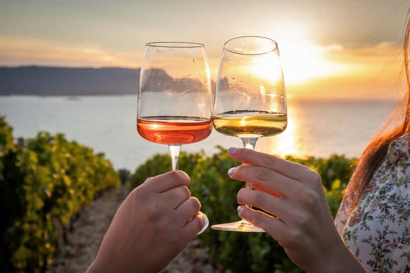 Dalmatia's Terra Madre Vineyard & Wine Escape