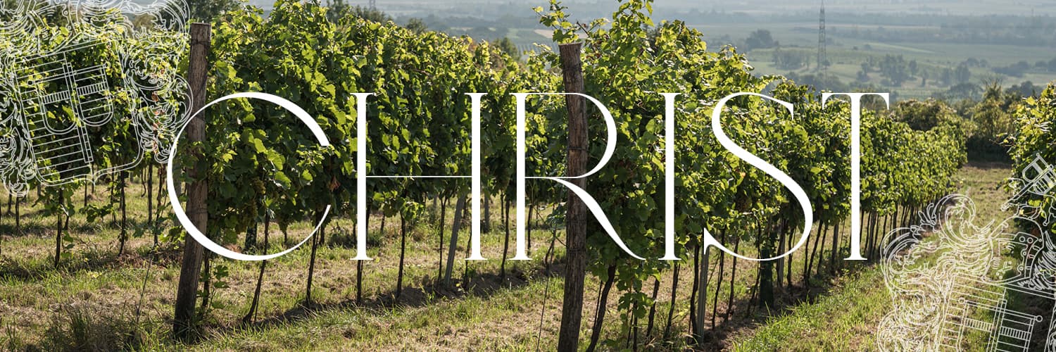 Weingut & Heuriger Christ