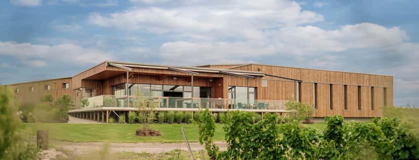 Allacher Vinum Pannonia