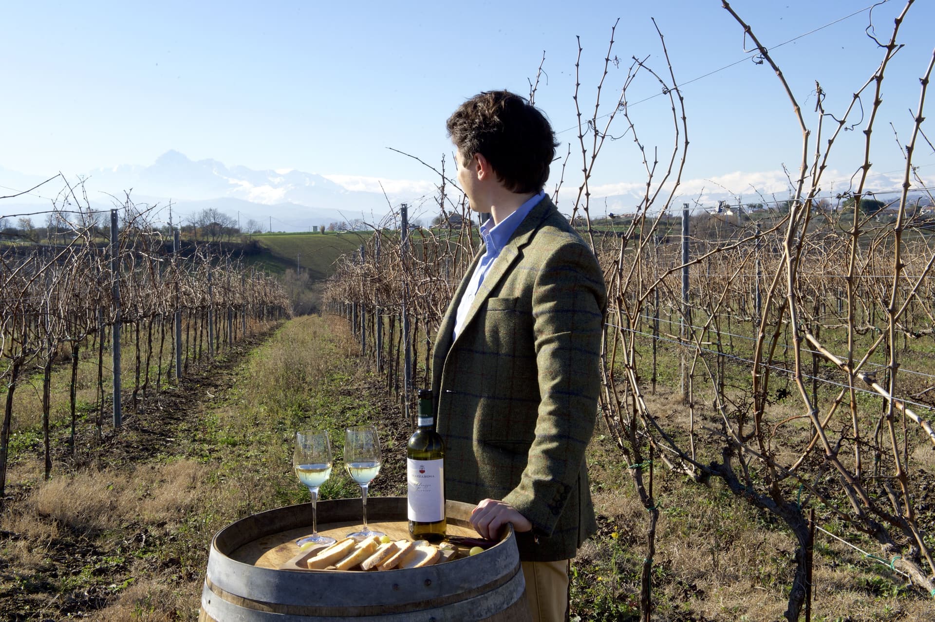 Cantina Mazzarosa: A Legacy of Sustainable Winemaking Foto 4