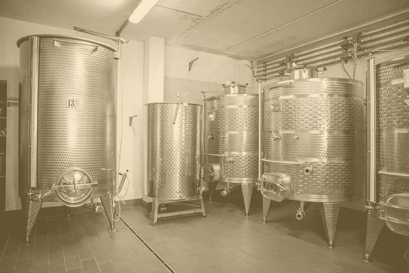 Discover Artisan Wines on an Emilia-Romagna Vineyard
