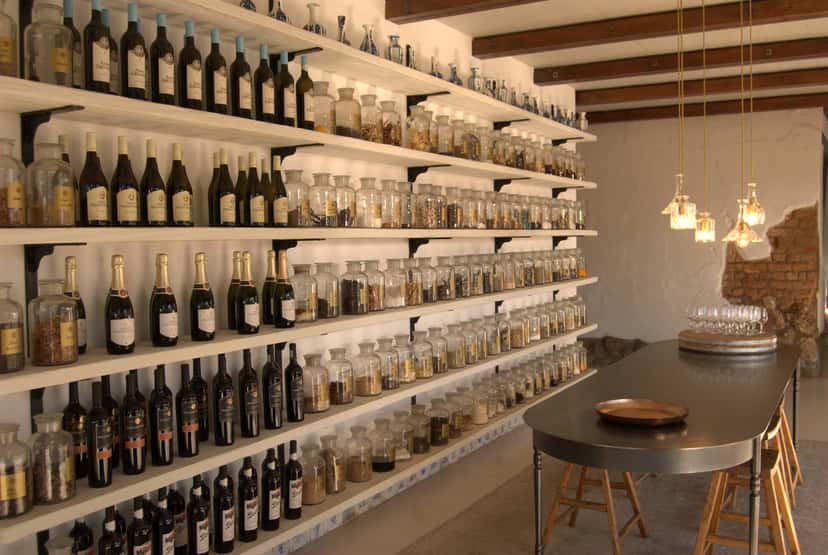 Dégustation de vins et visite de la cave Groot Phesantekraal