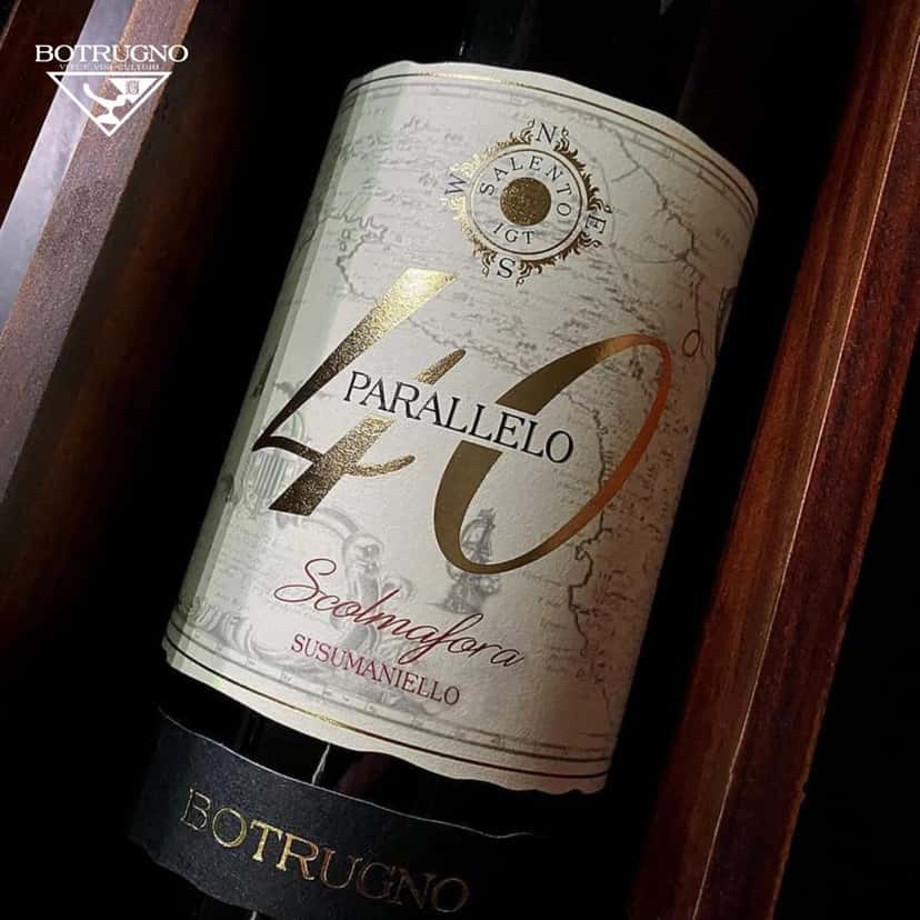 Experience the Enchanting Wines of Salento