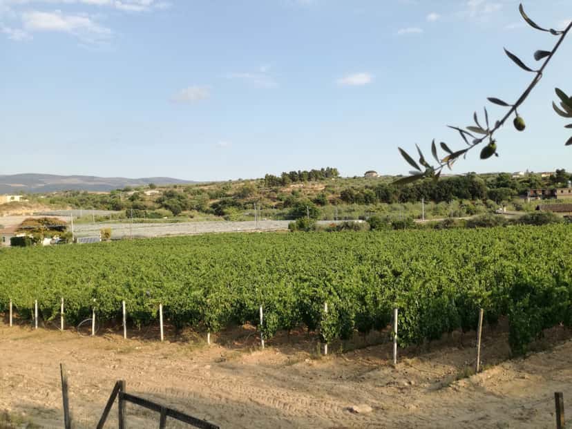 Poggio di Bortolone Winery