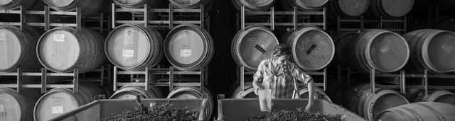 Loom Winery