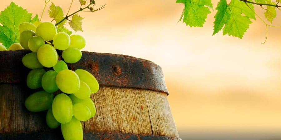Dégustation de vins et dîner à Ludányi Pince