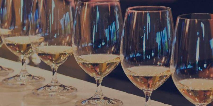 Visite et dégustation de vins au domaine viticole Ludanyi Pince