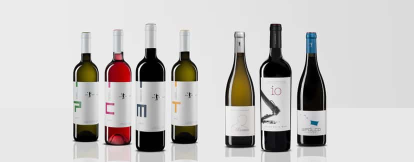Tour e degustação de vinhos em Nic Tartaglia
