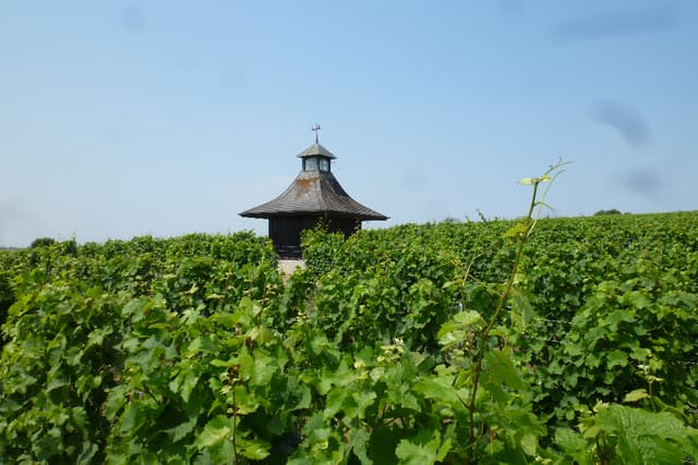 Steigler Wine Estate