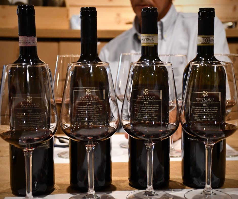 Tenuta di Saragano
