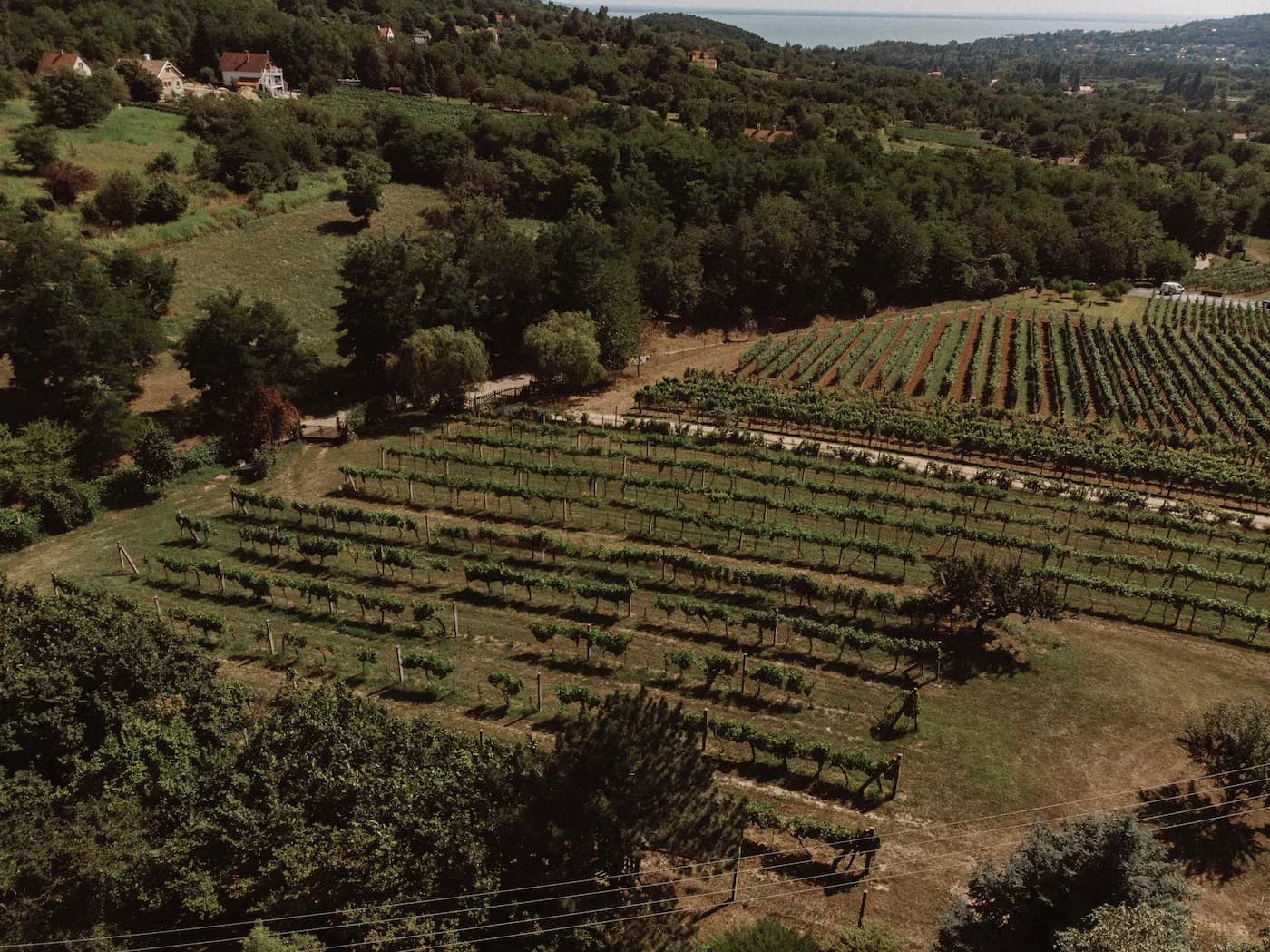 VáliBor Winery