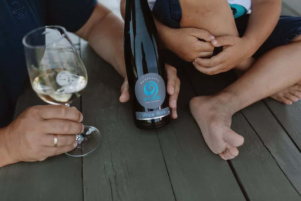 Balaton Wine & Views Tasting Escape